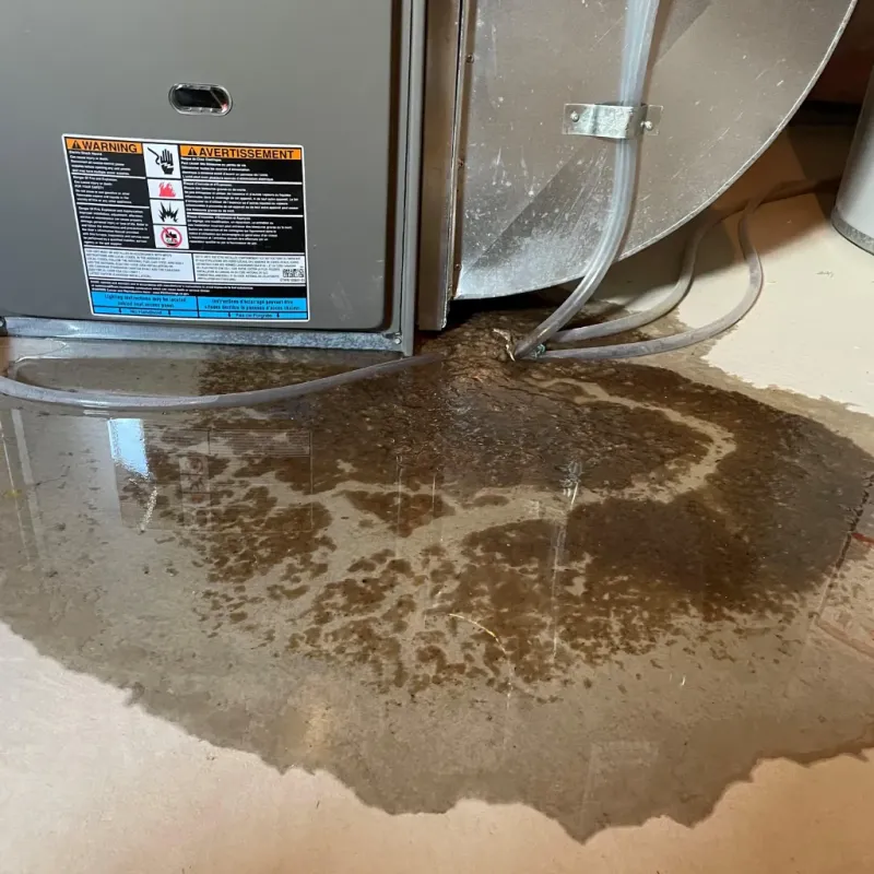 Appliance Leak Cleanup in Orchidlands Estates, HI
