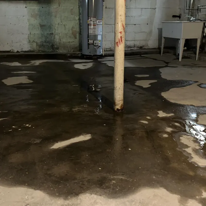 Emergency Water Extraction And Removal in Orchidlands Estates, HI